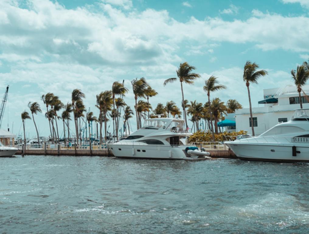 boats in the port palms tropical coconut grove