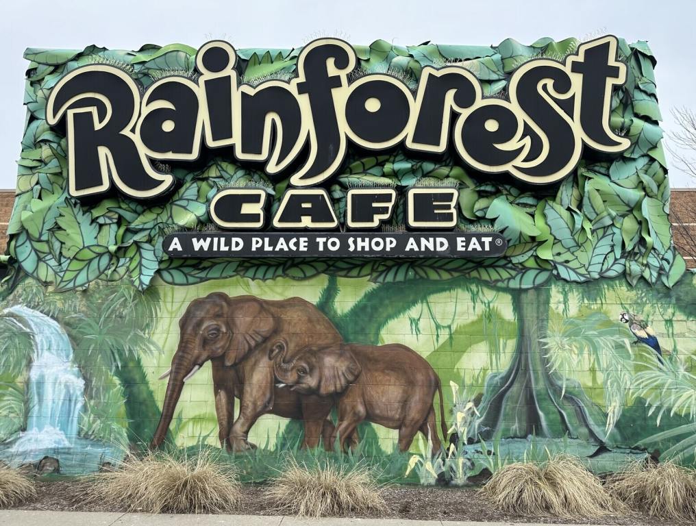 Outside of a Rainforest Cafe with animals and green background jungle scene.