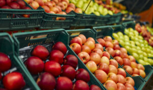 Inflation in Tampa Compares to The Rest of The USA - Fruits and veggie son the rackin a grocery store.