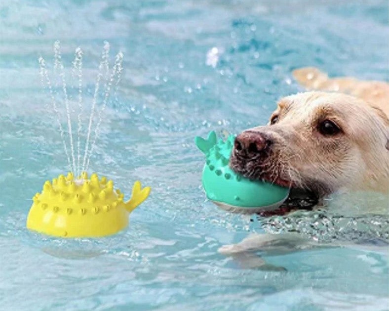 dog water spray chew toys with golden retriver with toy in mouth